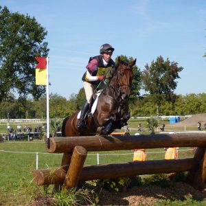 Chevaux de sport